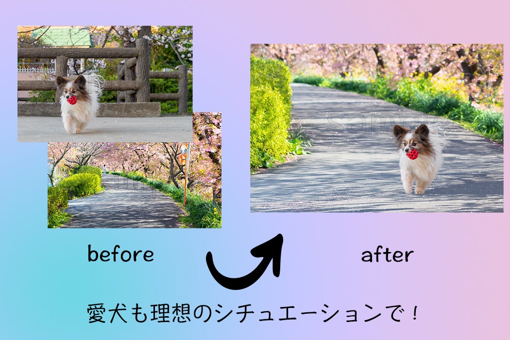 4番目のメイン画像