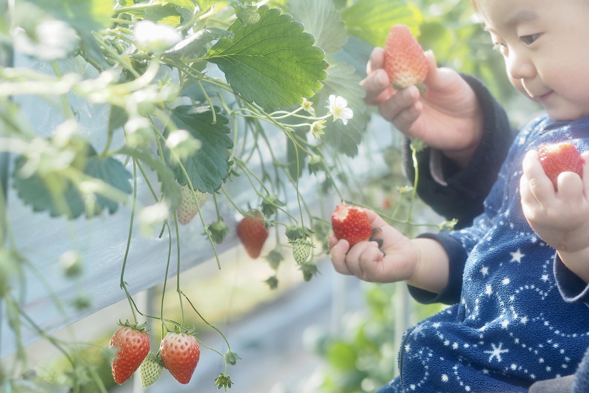 3番目のメイン画像