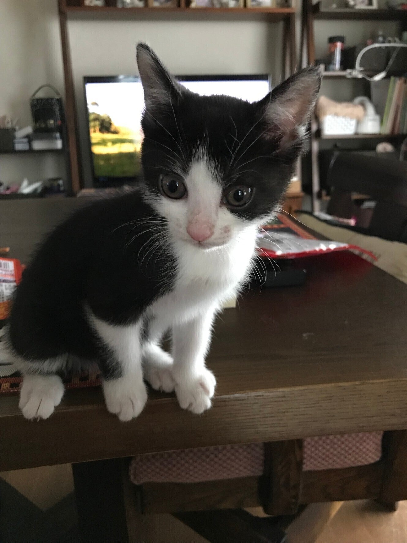 5番目のメイン画像