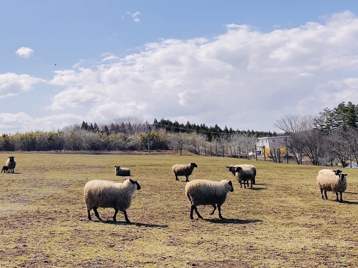 5番目のメイン画像