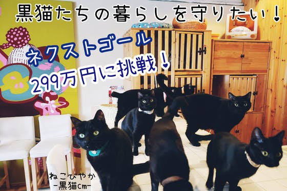 (キャンプファイヤー)　世界唯一の黒猫only猫カフェ＆譲渡型猫カフェの存続危機を乗り越えたい！　CAMPFIRE