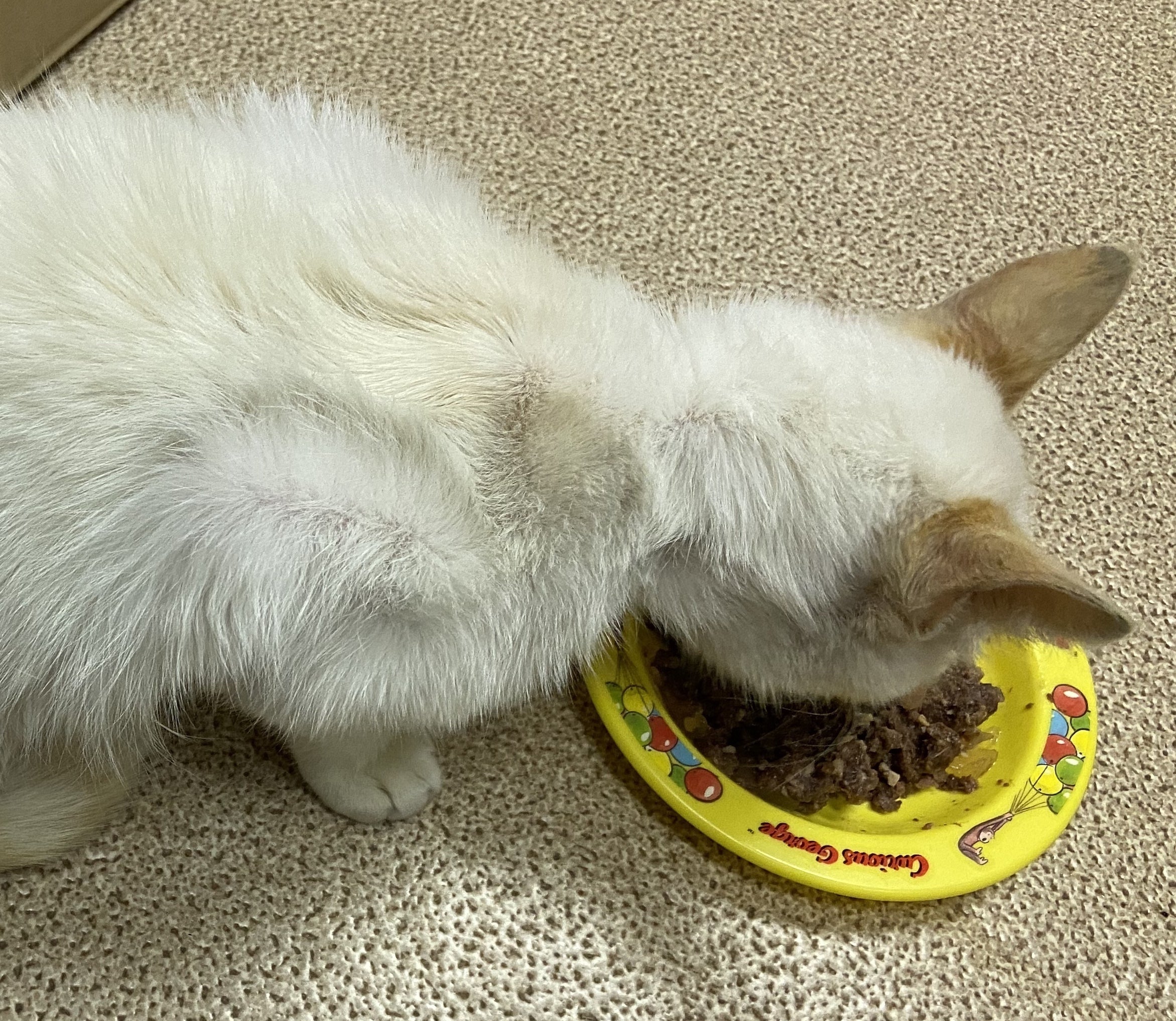 5番目のメイン画像