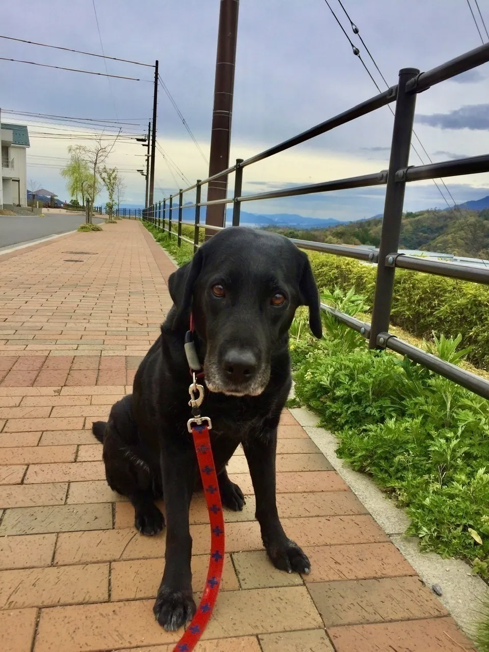 5番目のメイン画像