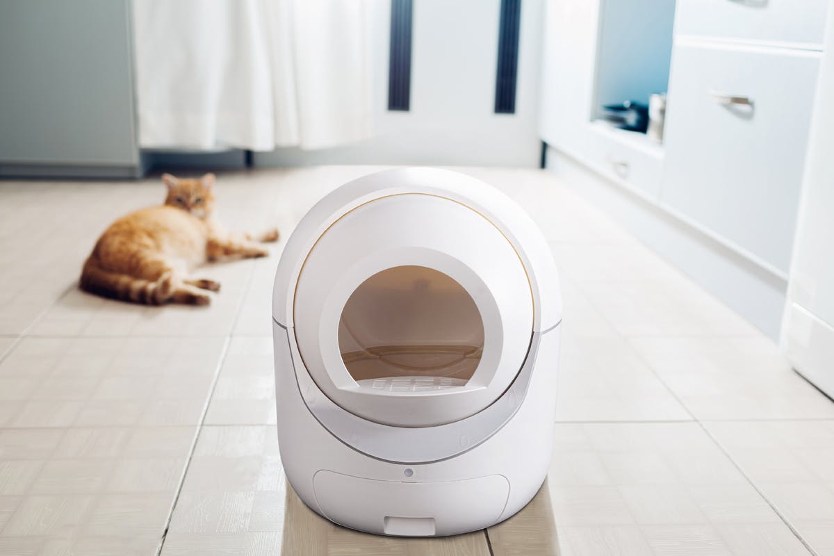 『Igloo』猫の飼い主に悠々自適を与えられる自動猫用トイレボックス CAMPFIRE (キャンプファイヤー)