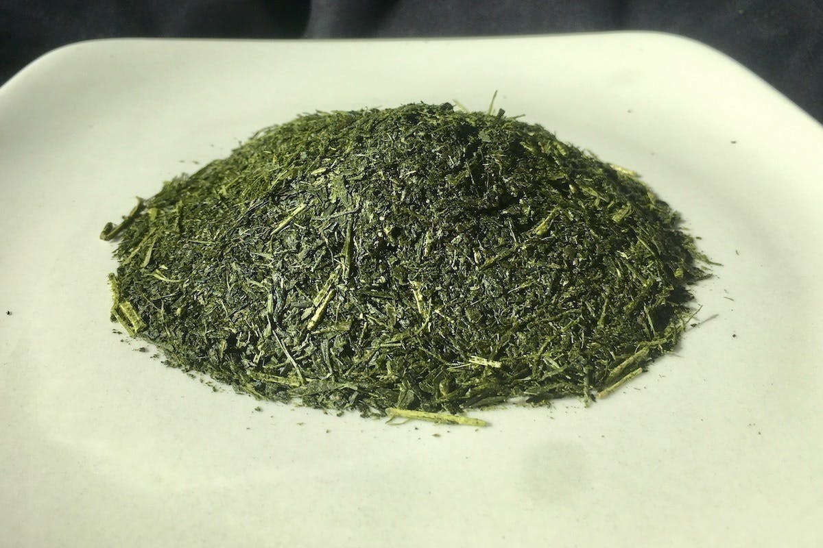 世界緑茶計画 Campfire キャンプファイヤー 世界緑茶計画 Campfire キャンプファイヤー