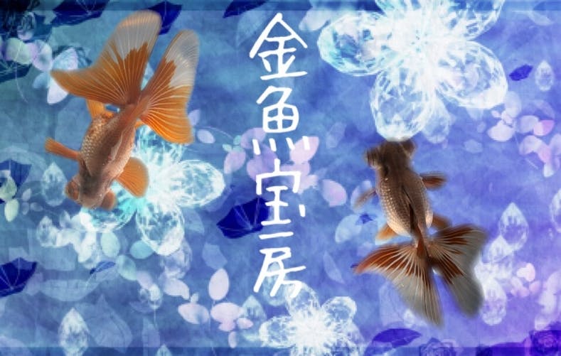 埼玉初 プレミアム金魚すくいが楽しめる金魚専門店をオープン Campfire キャンプファイヤー 埼玉初 プレミアム金魚すくいが楽しめる金魚専門店をオープン Campfire キャンプファイヤー