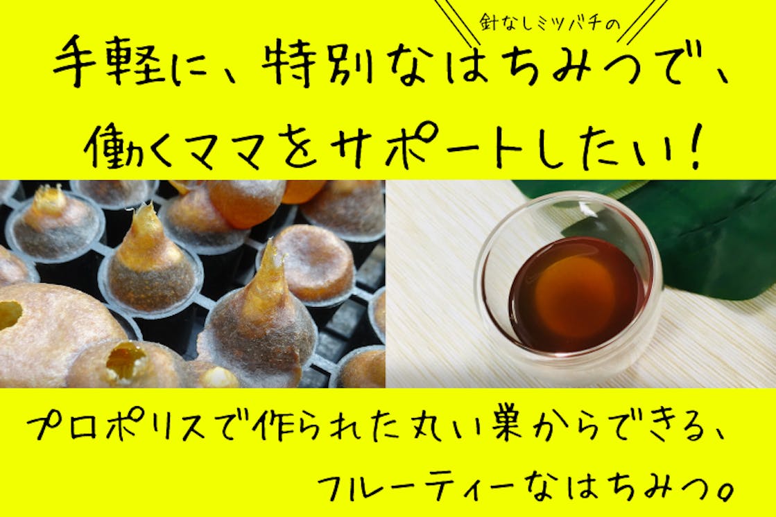 針なしミツバチの栄養豊かなハチミツでママを元気に 瓶詰からスティック型へ Campfire キャンプファイヤー 針なしミツバチの栄養豊かなハチミツでママを元気に 瓶詰からスティック型へ Campfire キャンプファイヤー