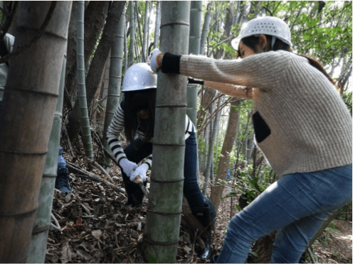 地球環境って何 竹いかだ作りで子供達と一緒に学ぶ Campfire キャンプファイヤー