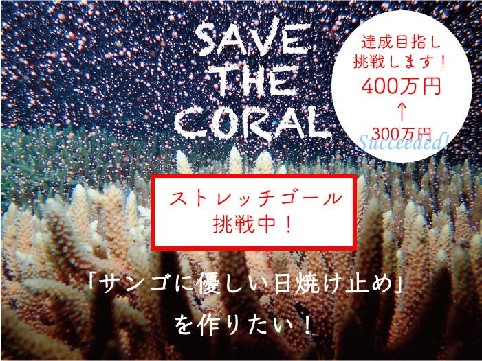 サンゴに優しい日焼け止め を作って 沖縄の美しいサンゴを守りたい Campfire キャンプファイヤー