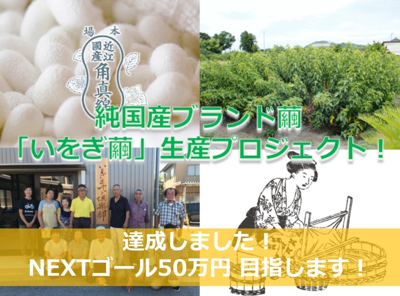 養蚕で地域を元気に 純国産ブランド繭 いをぎ繭 生産プロジェクト Campfire キャンプファイヤー