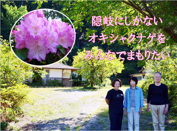 島根の離島から発信!!～隠岐にしかないオキシャクナゲをみんなでまもる 