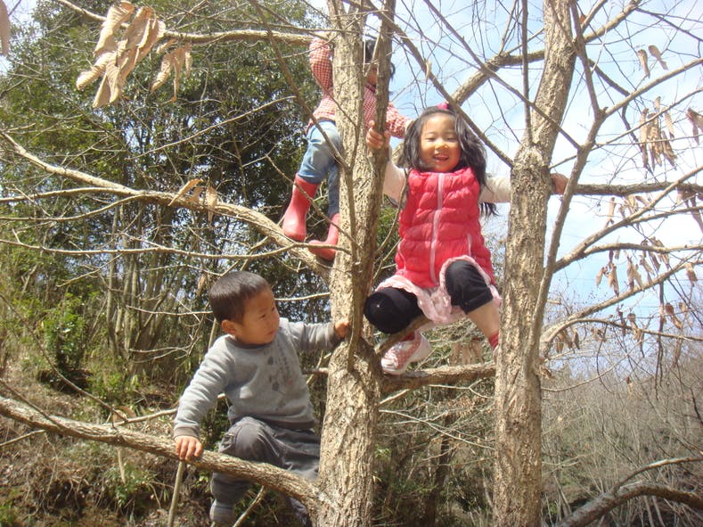 子どもたちに本を寄贈し森へいざないたい！どうぞ私たちに力を貸して