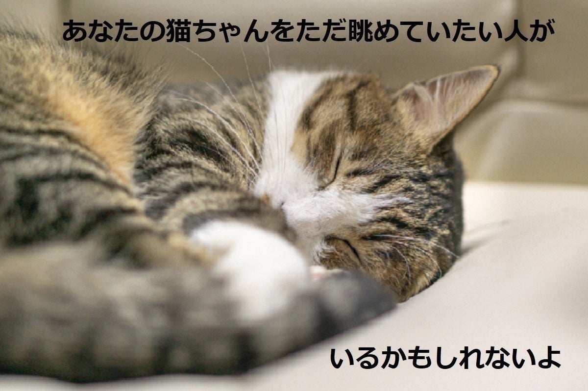 2番目のメイン画像