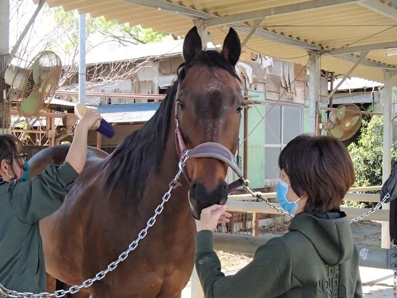 2番目のメイン画像