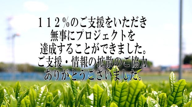 茨城名産さしま茶で おもてなしスイーツ さしま茶カステラ をつくりたい Campfire キャンプファイヤー