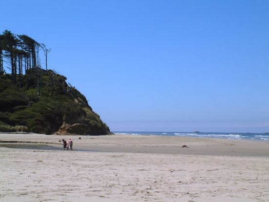 新潟の海を綺麗で安全な場に E Protection S M 開催 Campfire キャンプファイヤー