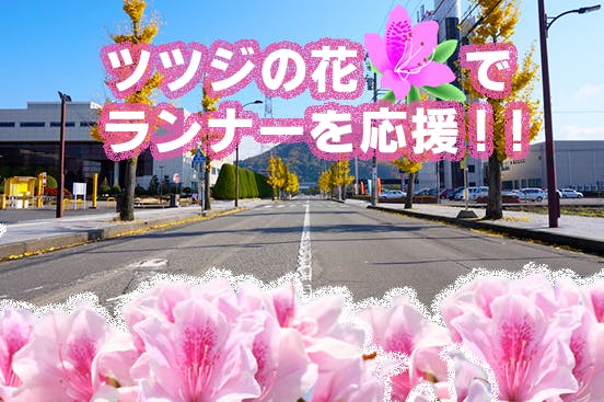 行政と市民の協働事業 つつじマラソンのコースにツツジの花を咲かせよう Campfire キャンプファイヤー