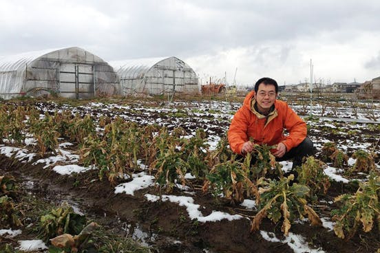 困った時はお互い様 大雪でつぶれた地元農家ビニールハウス再建にご協力を Campfire キャンプファイヤー