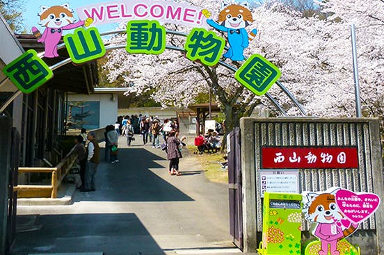 日本一小さい西山動物園！みんなに愛される動物園を守っていきたい！！