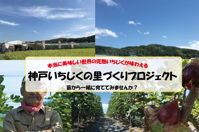 オーナー制いちじく園にかける想い Campfire キャンプファイヤー