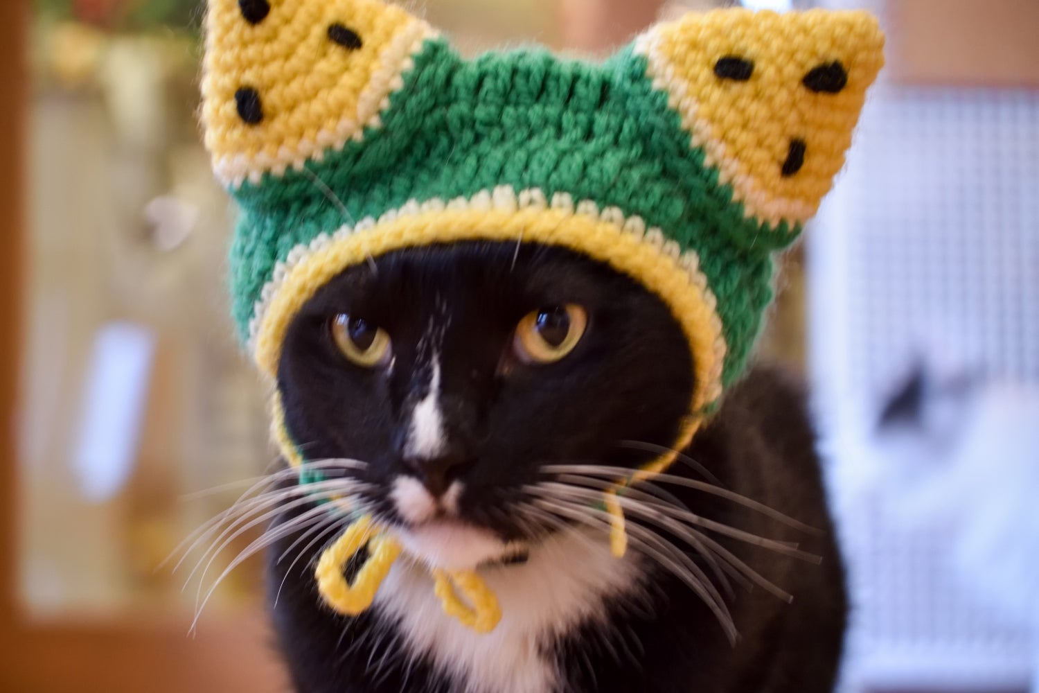 4番目のメイン画像