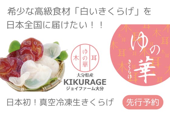 CAMPFIRE　日本初！真空冷凍生きくらげ、希少な高級食材「白いきくらげ」を日本全国に届けたい！　(キャンプファイヤー)
