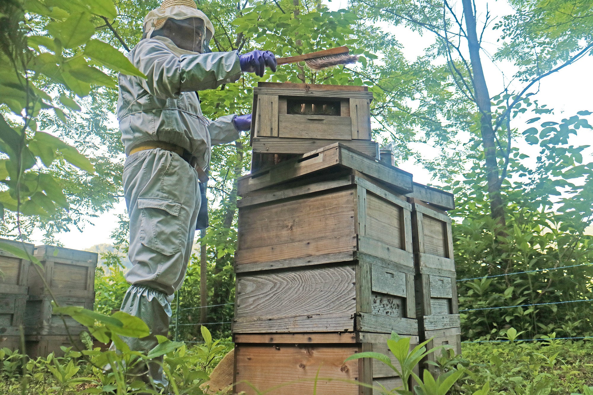 3番目のメイン画像