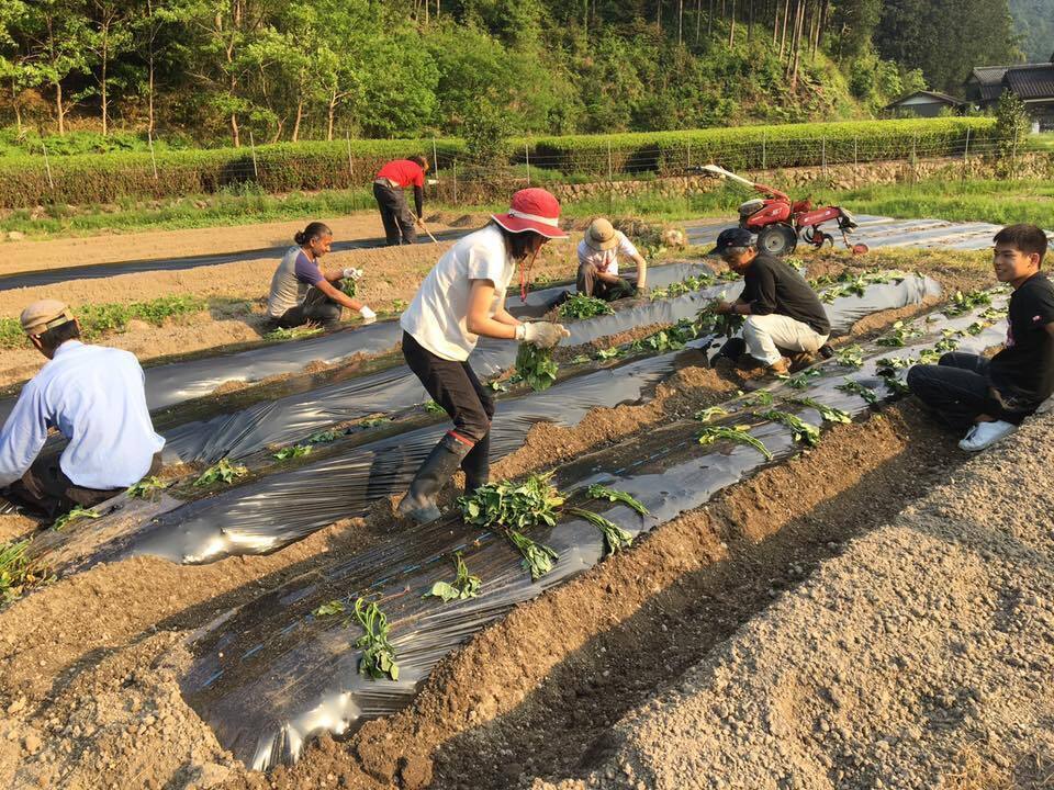 2番目のメイン画像