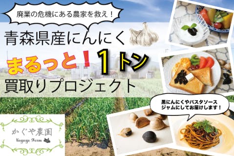 廃業の危機にある青森のにんにく農家を救え にんにく1トン買い取りプロジェクト Campfire キャンプファイヤー