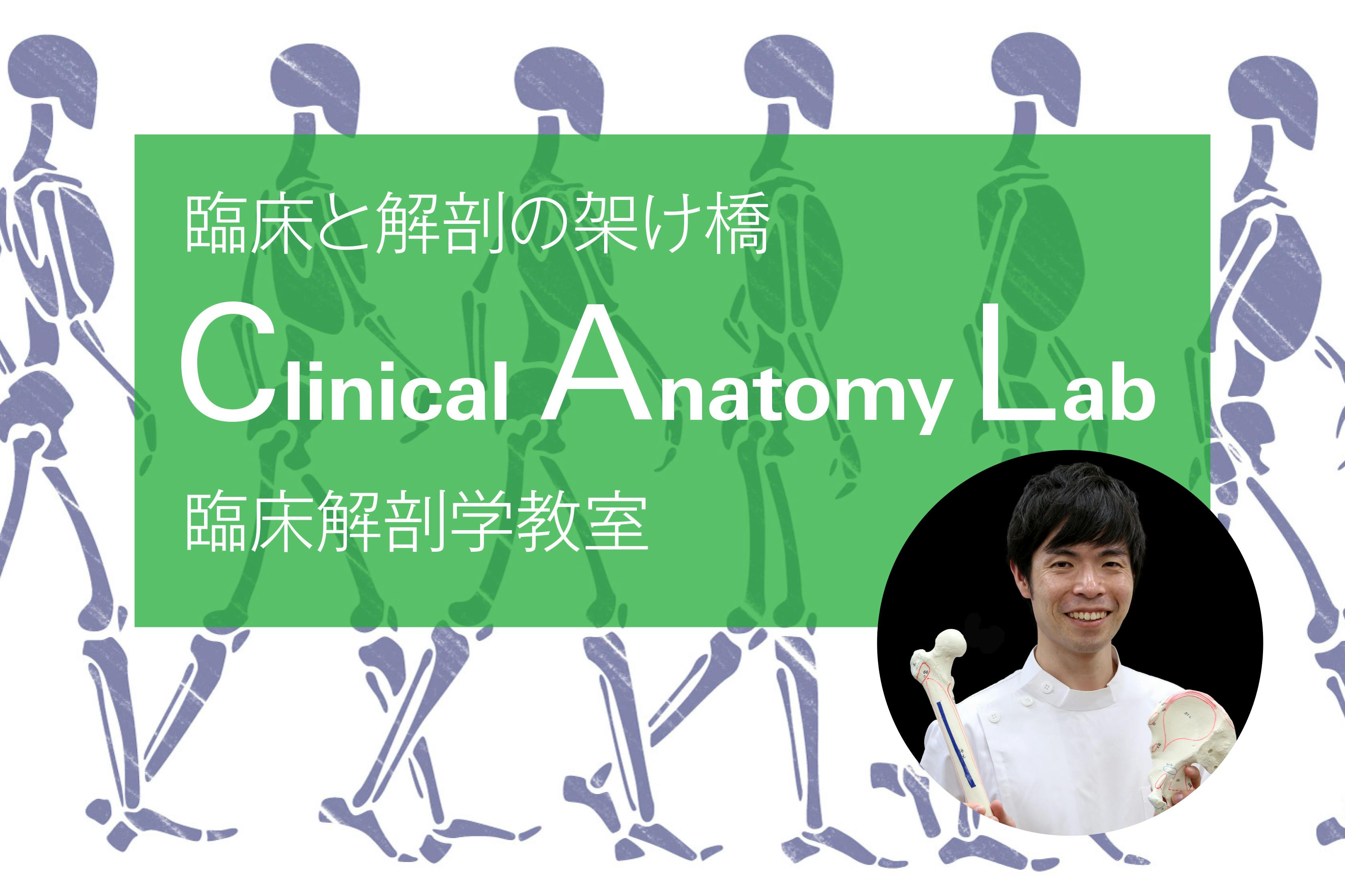 Clinical Anatomy Lab ー臨床解剖学教室ー