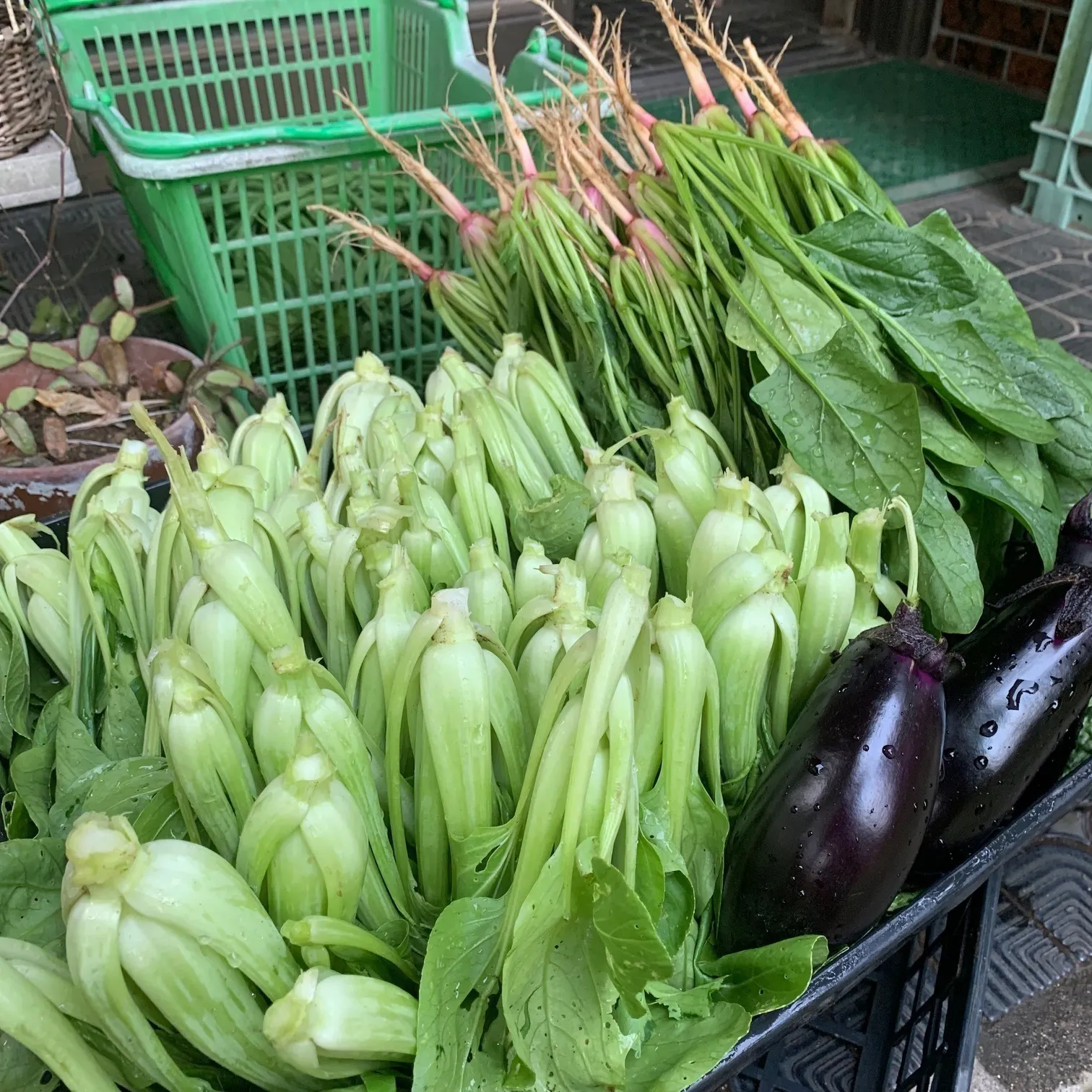 5番目のメイン画像