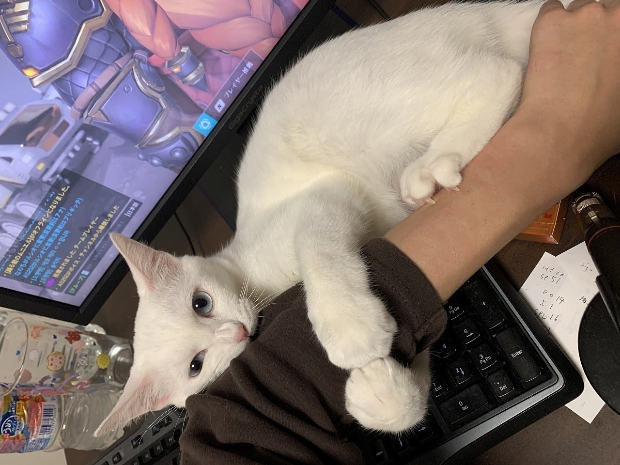 2番目のメイン画像