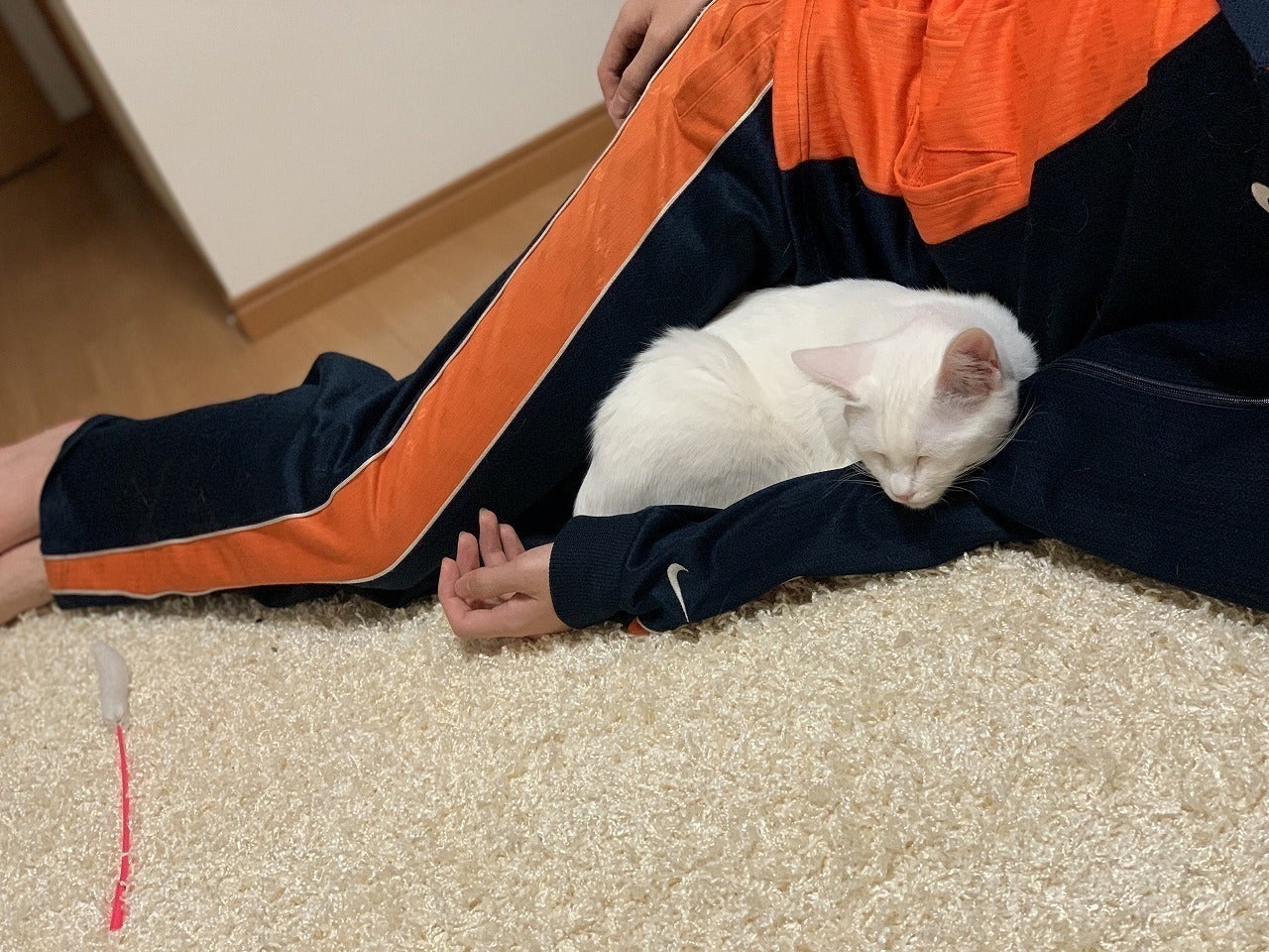 3番目のメイン画像