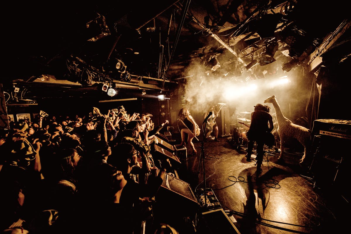 Save Shibuya Eggman Campfire キャンプファイヤー Save Shibuya Eggman Campfire キャンプファイヤー