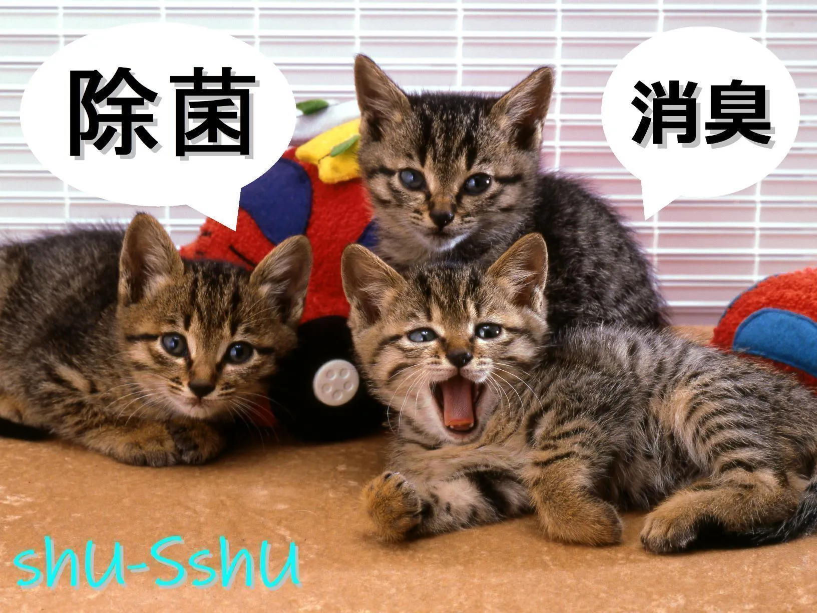 3番目のメイン画像