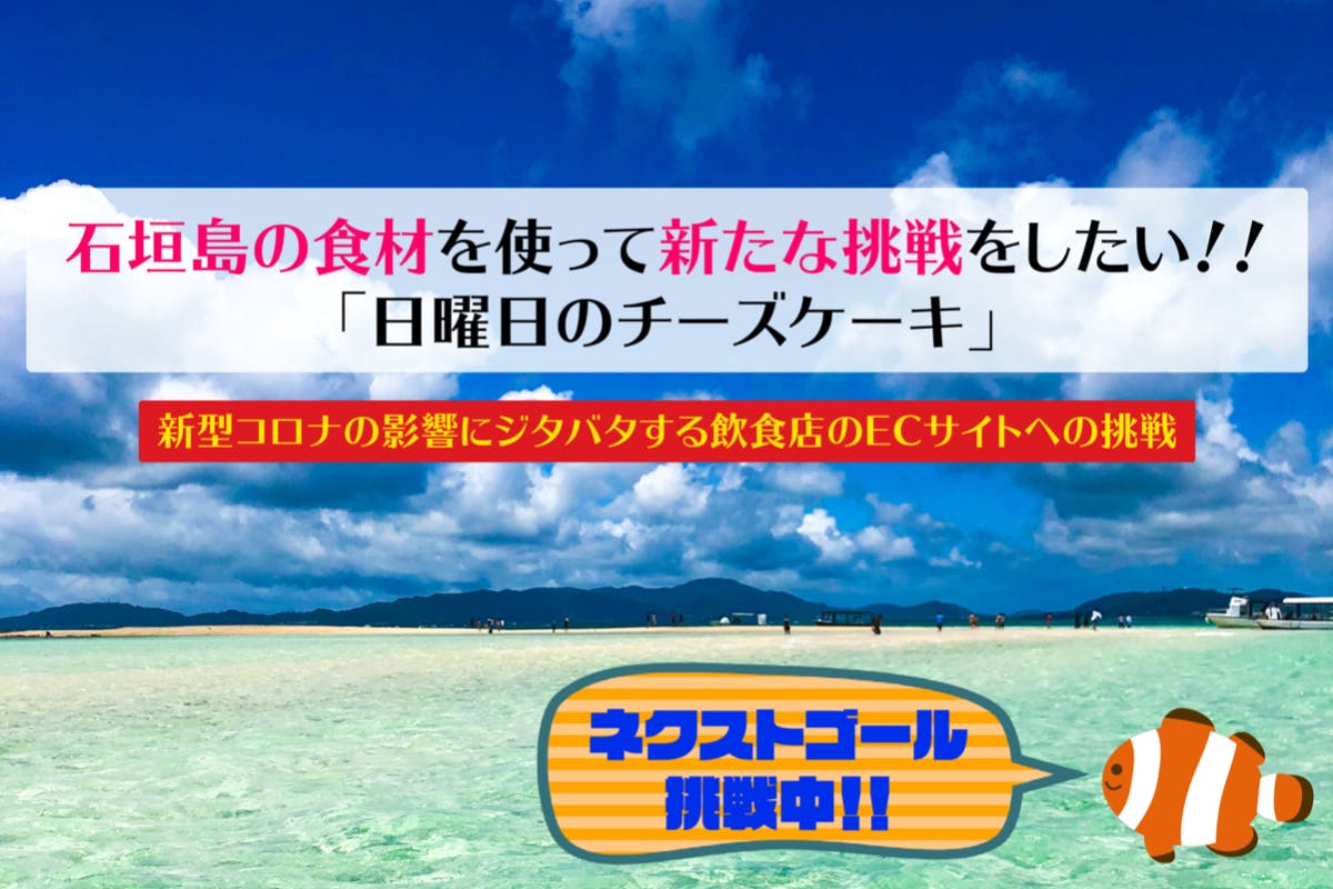 石垣島の食材を使って新たな挑戦をしたい Ecサイト 日曜日のチーズケーキ Campfire キャンプファイヤー