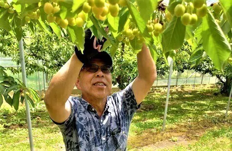 2番目のメイン画像