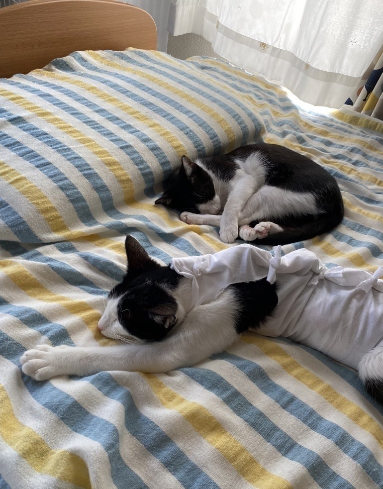 4番目のメイン画像