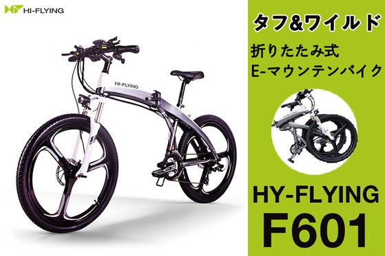 F601