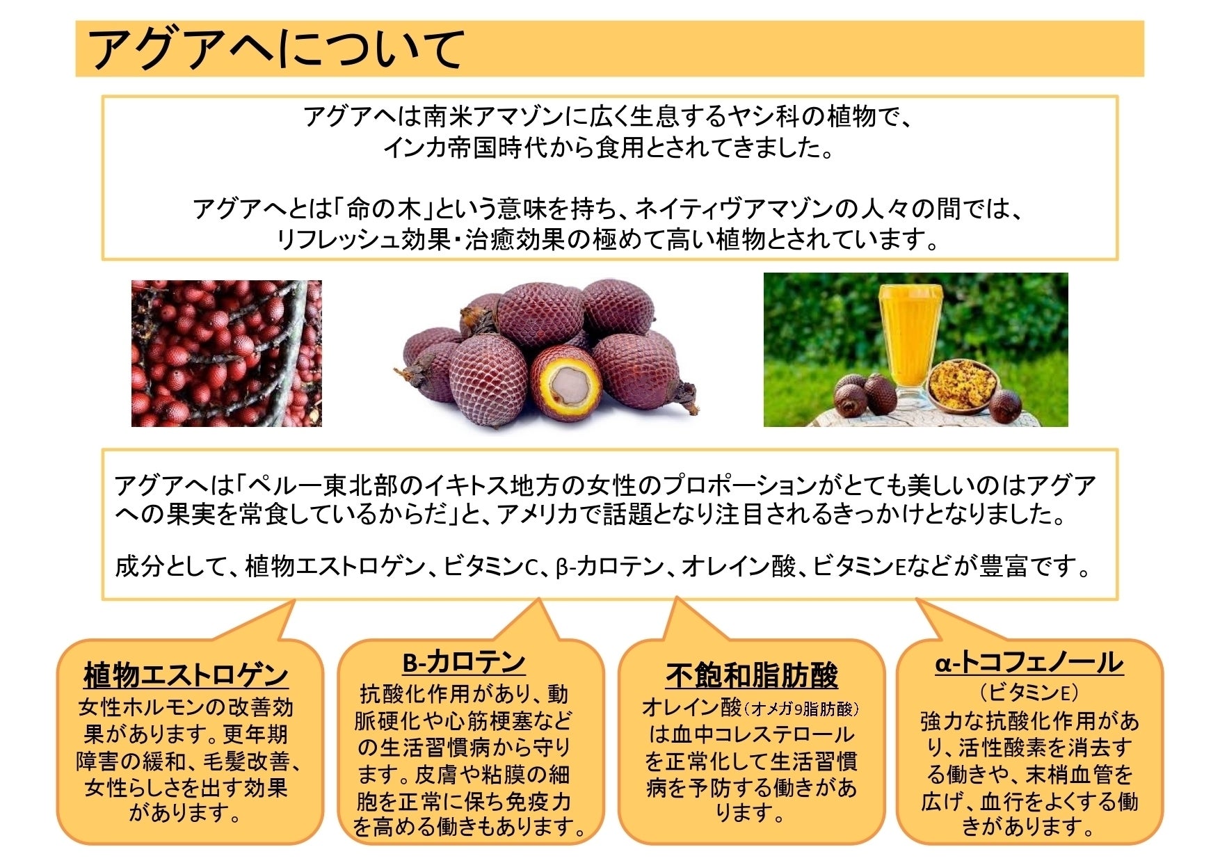 日本の女性たちにアグアヘで喜ばせよう Campfire キャンプファイヤー 日本の女性たちにアグアヘで喜ばせよう Campfire キャンプファイヤー