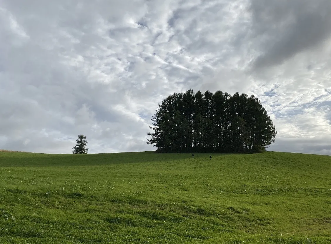 2番目のメイン画像