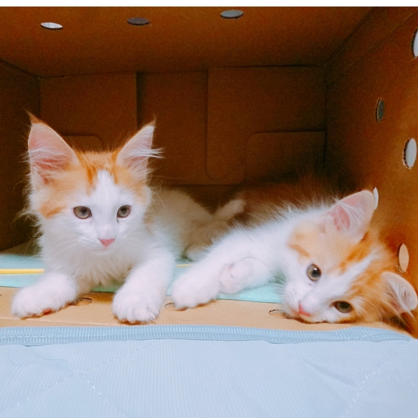 5番目のメイン画像