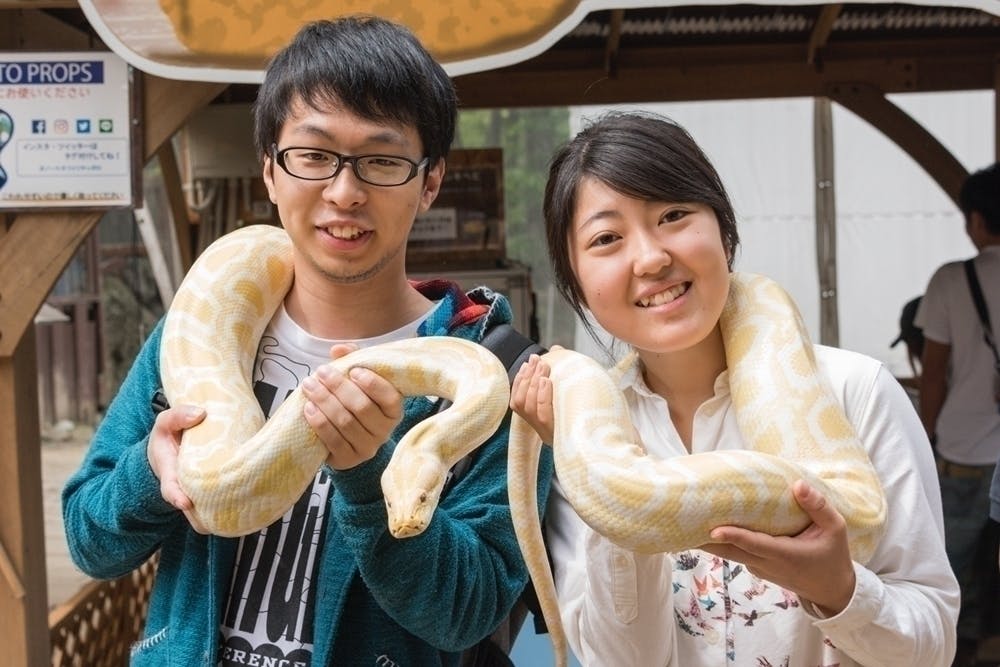 3番目のメイン画像