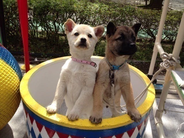 2番目のメイン画像