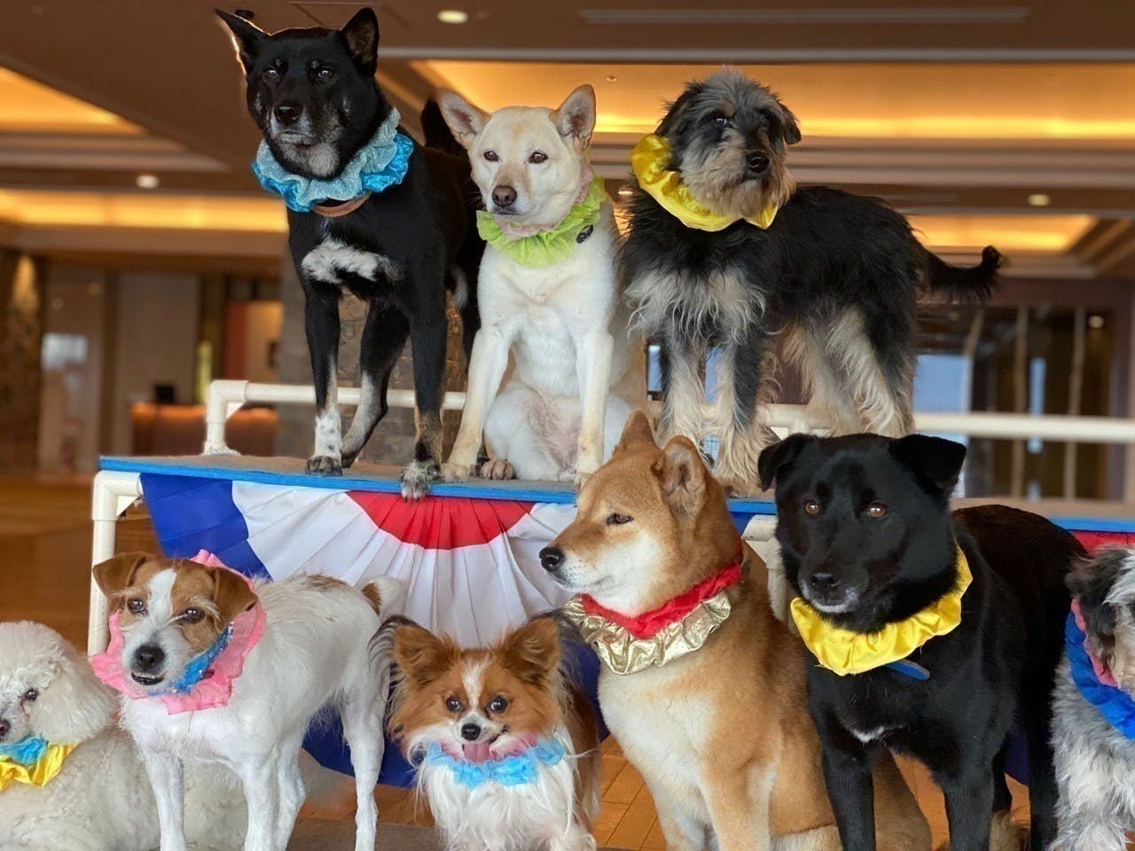 4番目のメイン画像