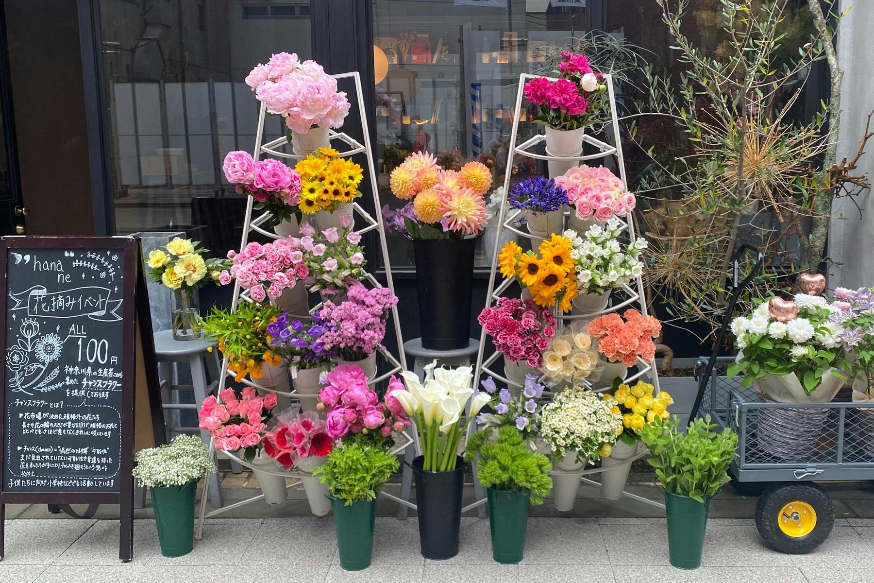 1本100円でお花が買える Hana To Me 花摘み を全国に広めたい Campfire キャンプファイヤー 1本100円でお花が買える Hana To Me 花摘み を全国に広めたい Campfire キャンプファイヤー