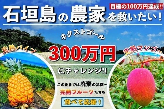 (キャンプファイヤー)　石垣島】パイン・マンゴーを食べて応援！観光客激減で農家がコロナ危機　CAMPFIRE