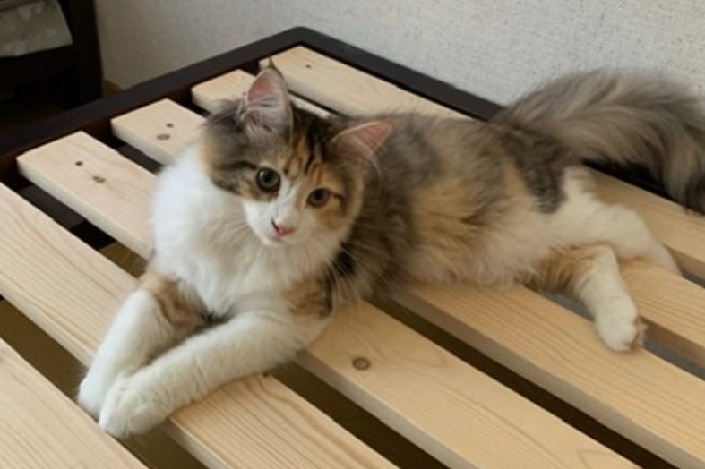 1番目のメイン画像