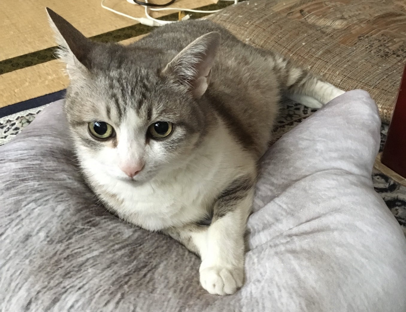 2番目のメイン画像