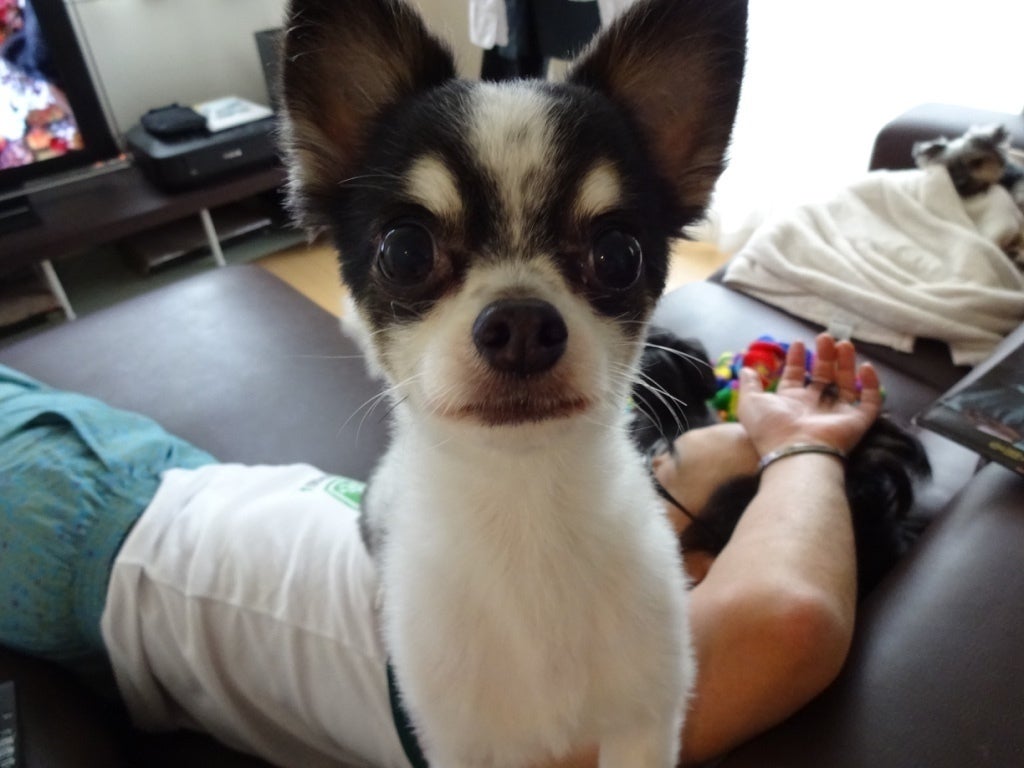 4番目のメイン画像